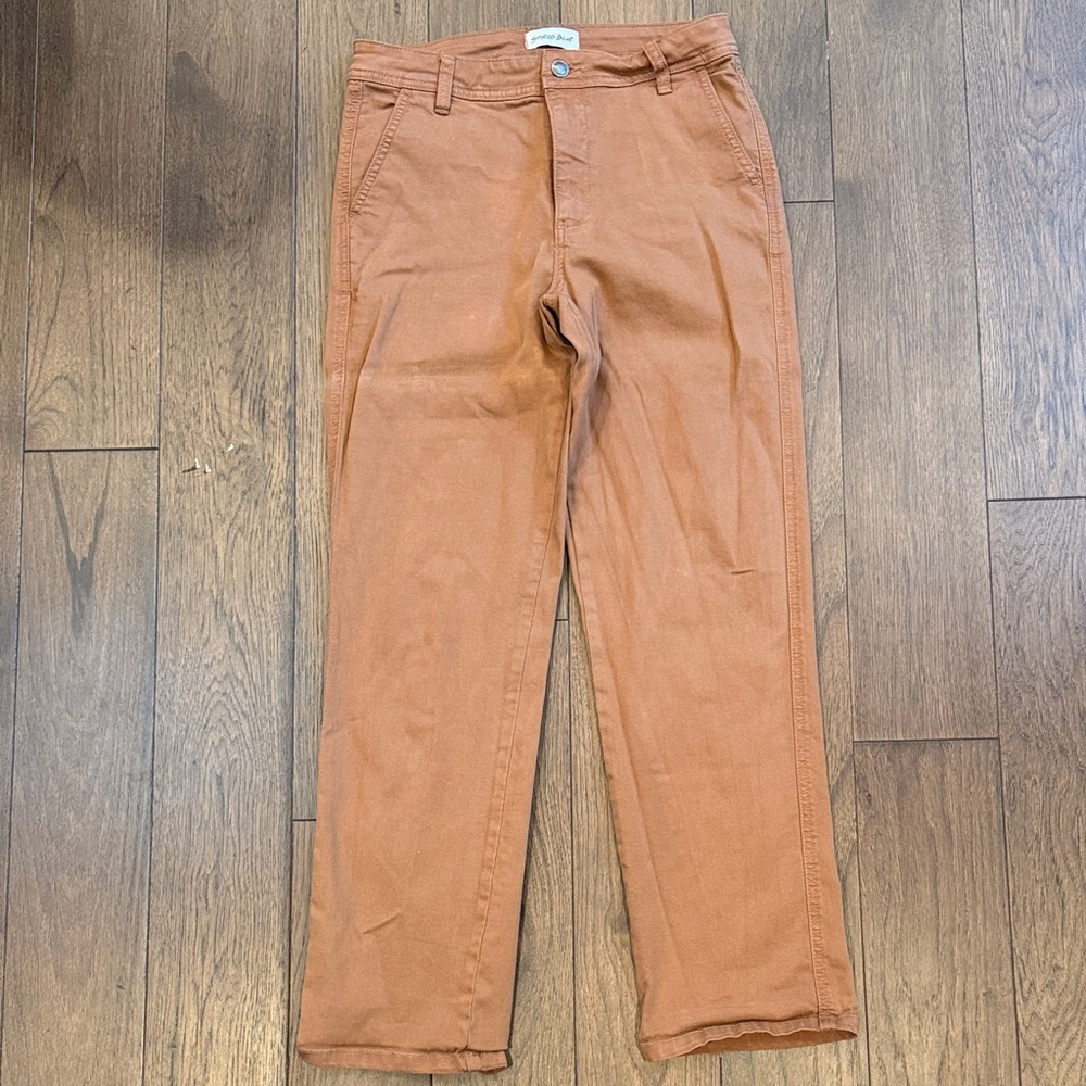 Studio Blue Size 27 Relaxed Fit Brown Pants C2-009